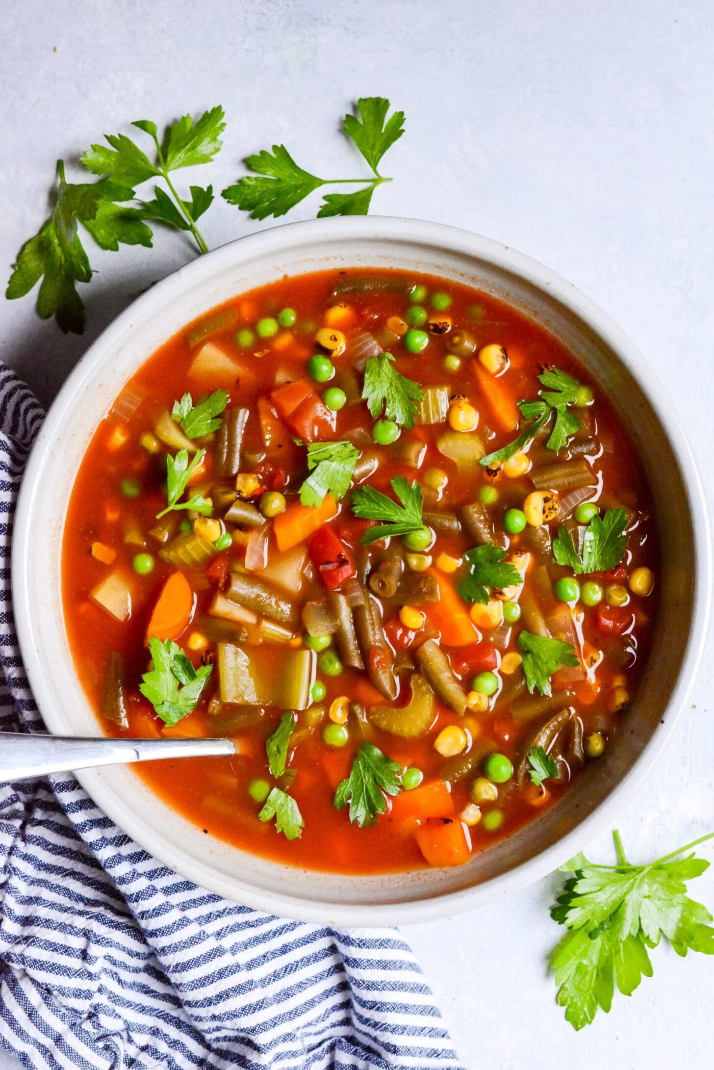 Vegetable Soup