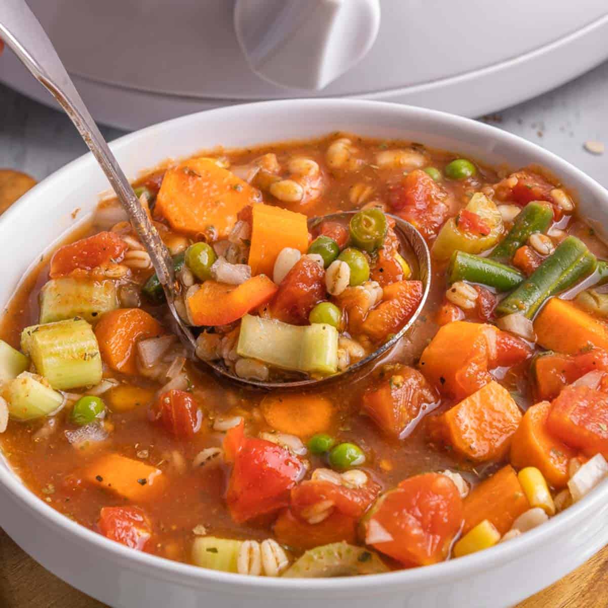 Vegetable Soup